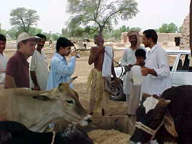 A group of village farmers gathered around their cattle in a dusty yard, one of them smoking a pipe, with Richard Slaney standing at the left of frame. Composite: Richard has been added to this archive photograph.