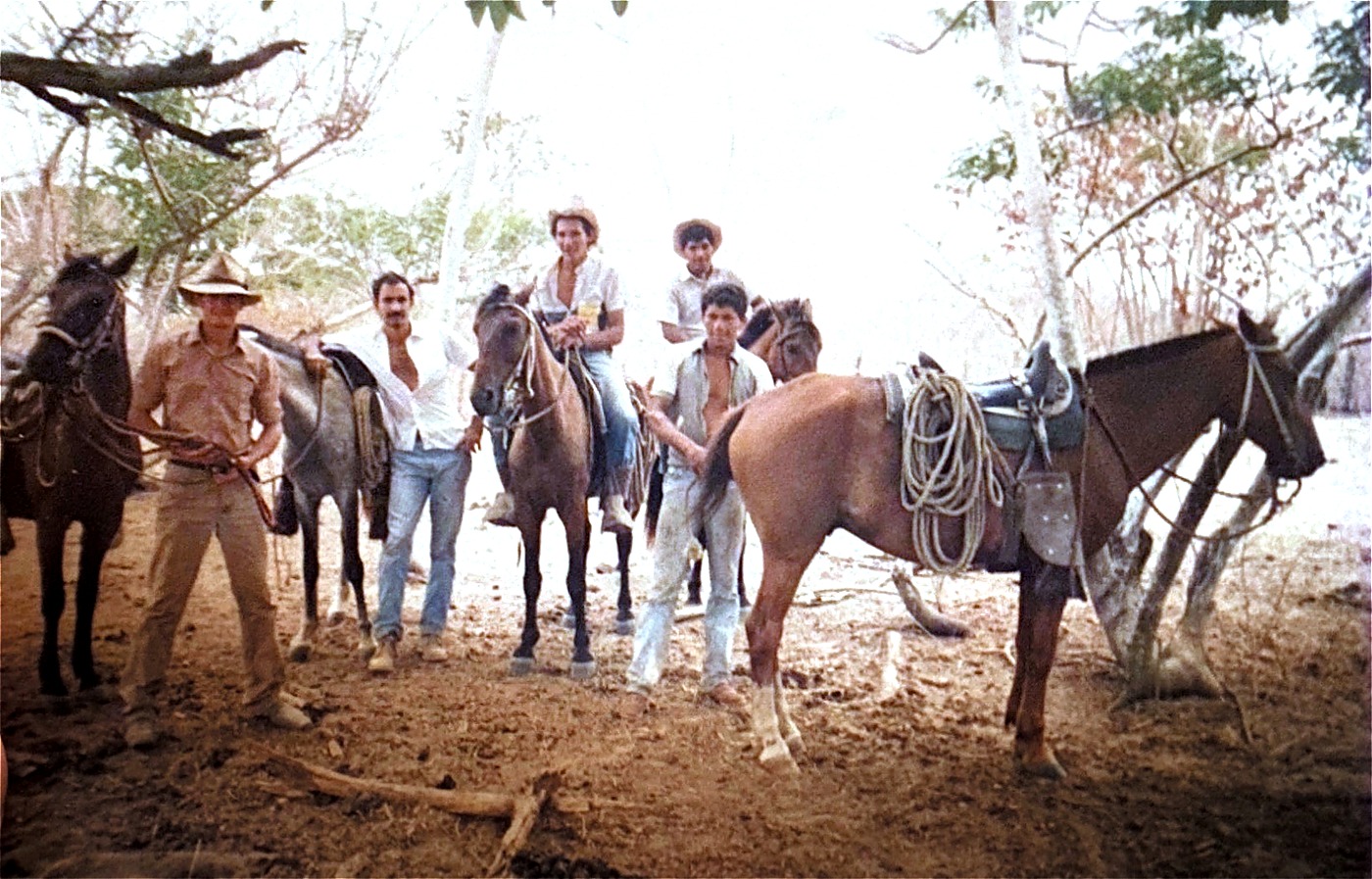 Five stockmen with saddled horses in dry scrub country, two of them mounted, during herd development work in the Venezuelan llanos