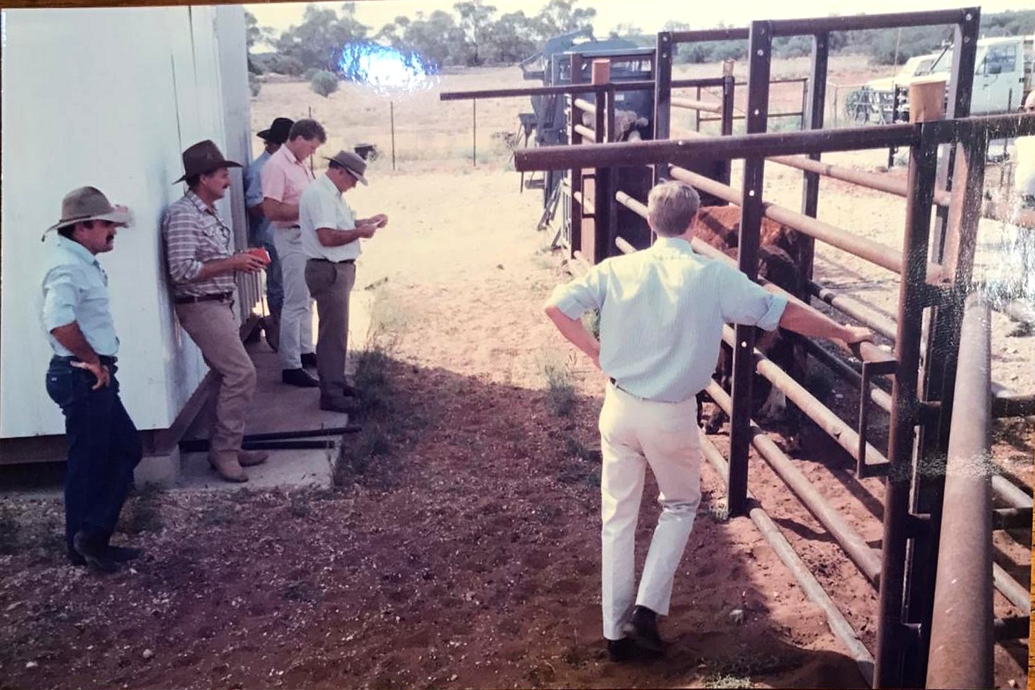Archive photograph of a beef feedback workshop at cattle yards in South Australia, 1991