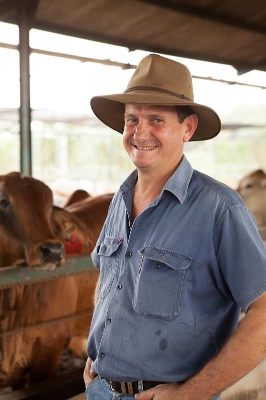 Richard Slaney during his Elders Indonesia years, in a cattle shed with Brahman-cross cattle