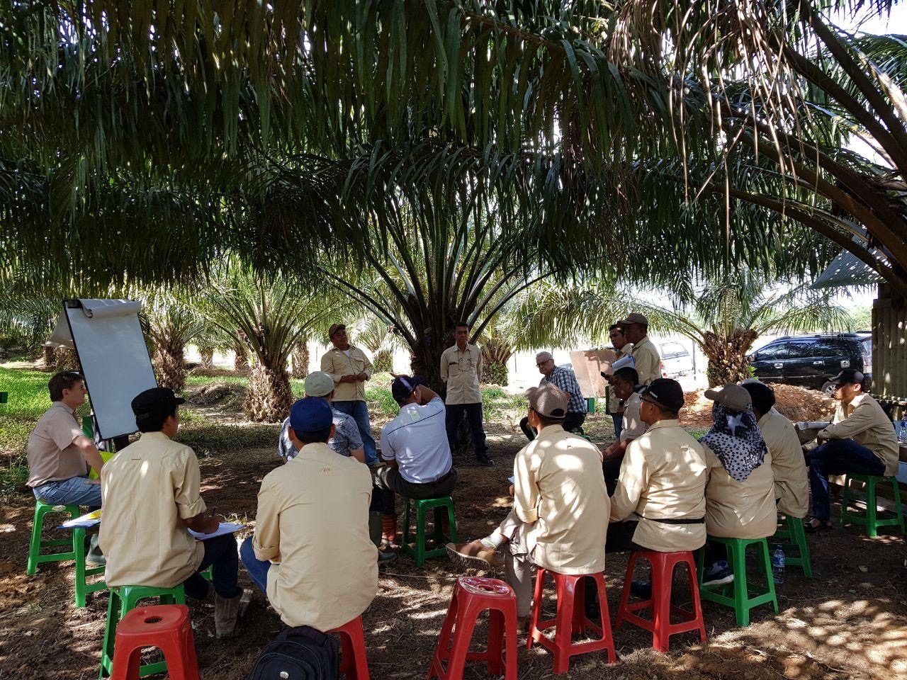 A pasture development training workshop being delivered to farmers in Indonesia
